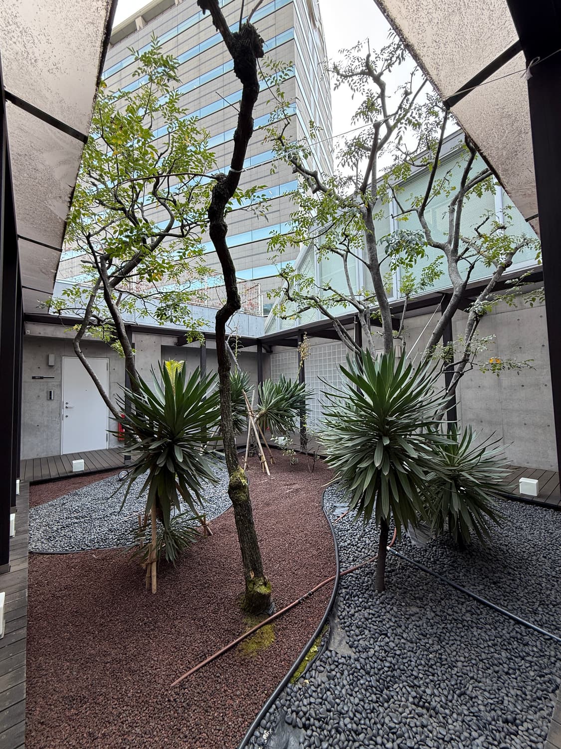 クイズ恵比寿903 photo 3